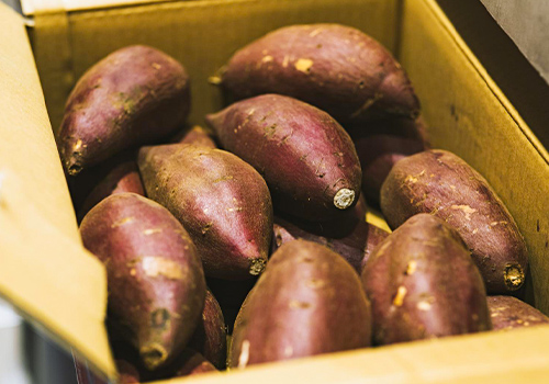 箱に詰められて直送されたさつまいも
