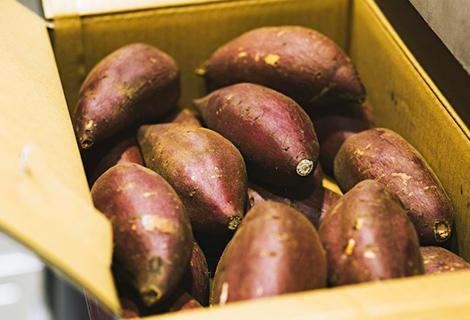 農家直送の箱詰めされた厳選さつまいもの写真